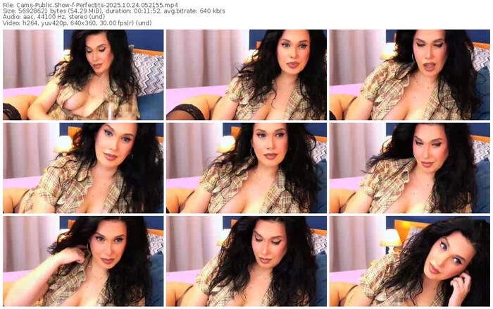 cams-perfectits-10-24-2025-05-21-55