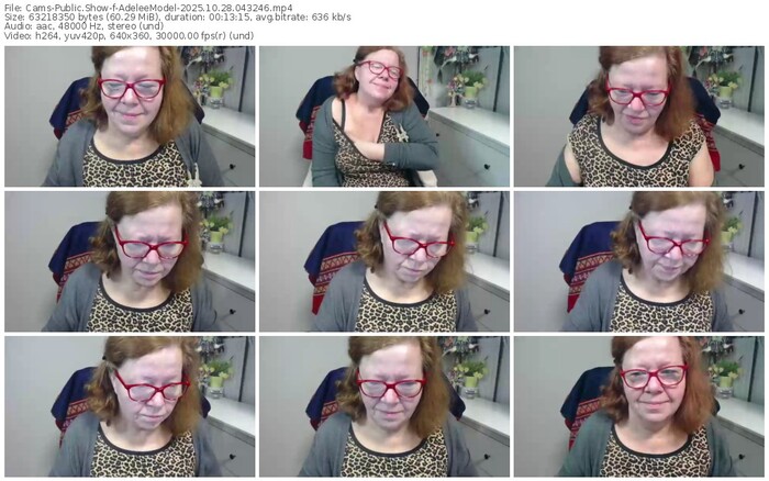 cams-adeleemodel-10-28-2025-04-32-46