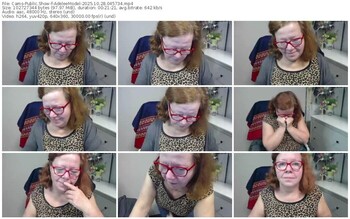 cams-adeleemodel-10-28-2025-04-57-34