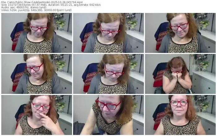 cams-adeleemodel-10-28-2025-04-57-34