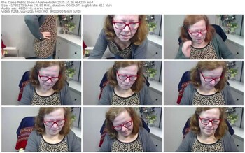 cams-adeleemodel-10-28-2025-06-42-29