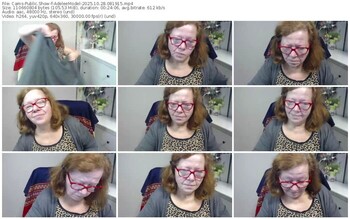 cams-adeleemodel-10-28-2025-08-19-15