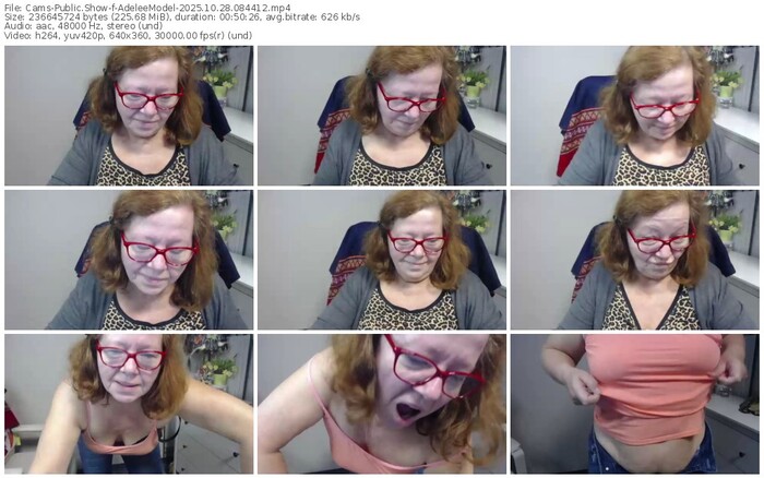 cams-adeleemodel-10-28-2025-08-44-12