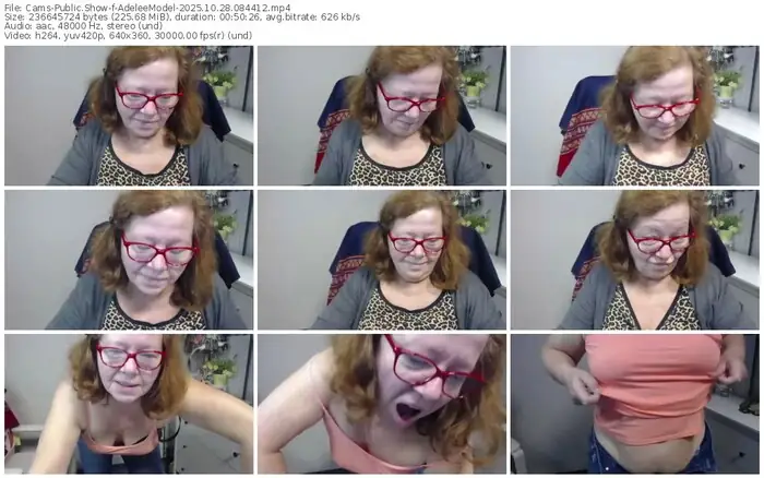 cams-adeleemodel-10-28-2025-08-44-12