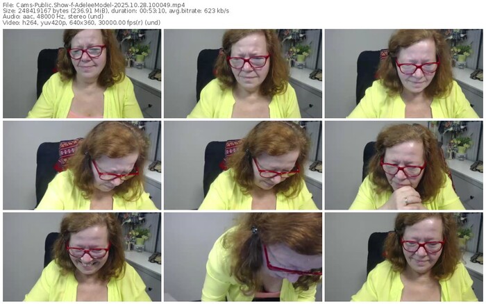 cams-adeleemodel-10-28-2025-10-00-49