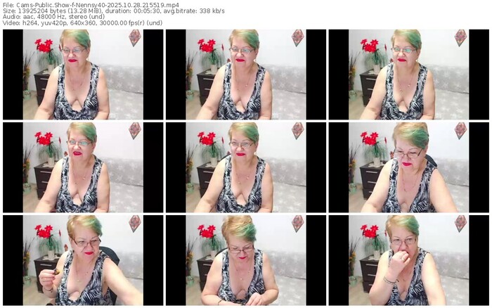 cams-nennsy40-10-28-2025-21-55-19