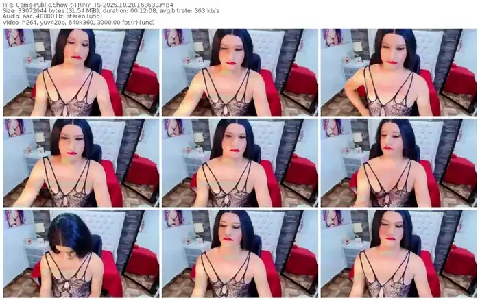 cams-triny_ts-10-28-2025-16-36-30