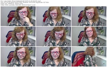 cams-adeleemodel-10-29-2025-04-22-41