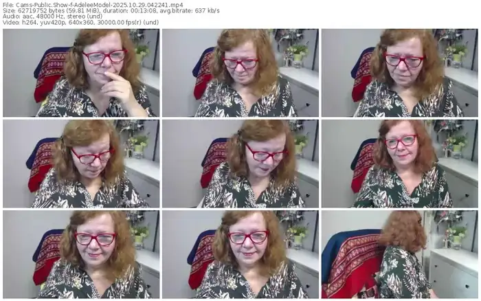 cams-adeleemodel-10-29-2025-04-22-41