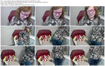 cams-adeleemodel-10-29-2025-05-52-17