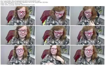 cams-adeleemodel-10-29-2025-06-02-41