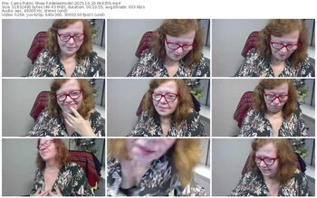 cams-adeleemodel-10-29-2025-06-43-59