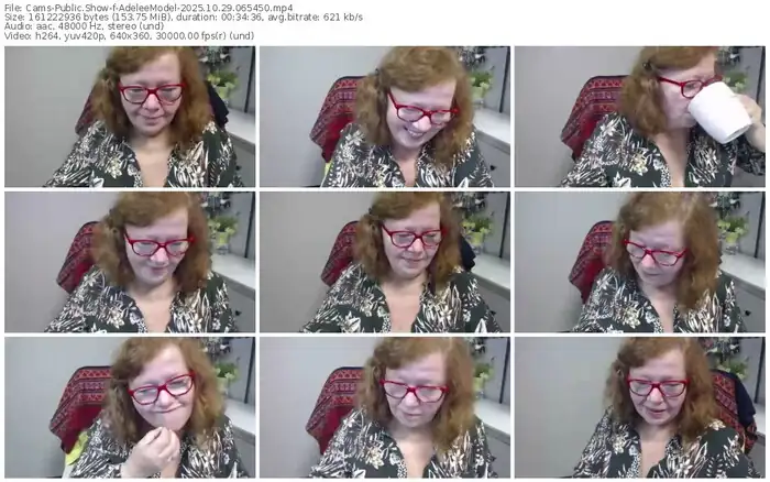 cams-adeleemodel-10-29-2025-06-54-50