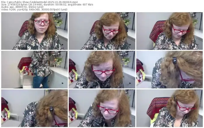 cams-adeleemodel-10-29-2025-09-00-19