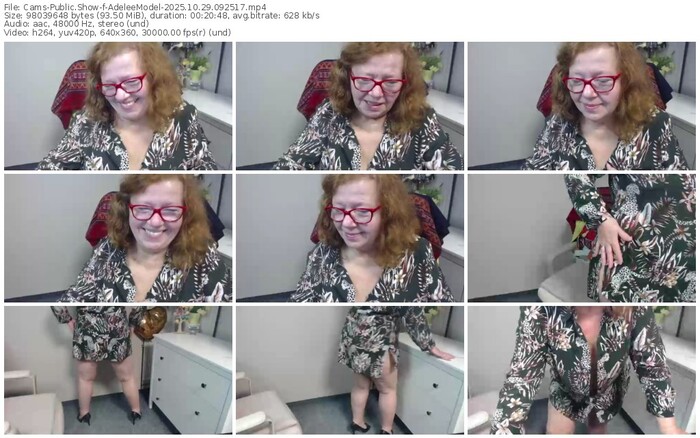 cams-adeleemodel-10-29-2025-09-25-17