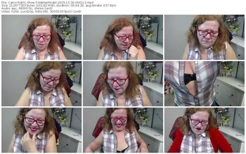 cams-adeleemodel-10-30-2025-04-41-13