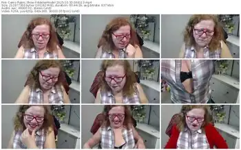 cams-adeleemodel-10-30-2025-04-41-13