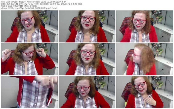 cams-adeleemodel-10-30-2025-05-31-27