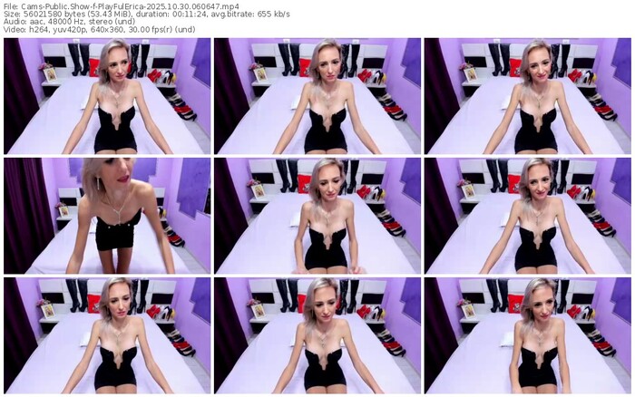 cams-playfulerica-10-30-2025-06-06-47