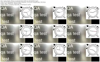 cams-atestmodel-10-30-2025-01-08-14