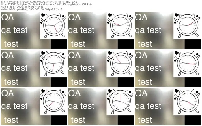 cams-atestmodel-10-30-2025-01-08-14