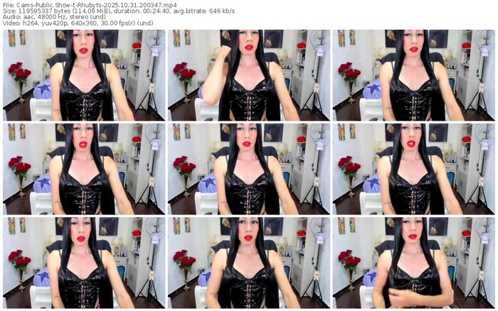 cams-rhubyts-10-31-2025-20-03-47