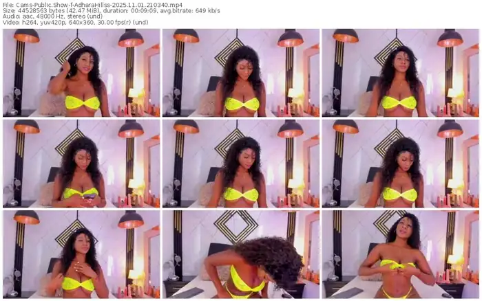 cams-adharahillss-11-01-2025-21-03-40