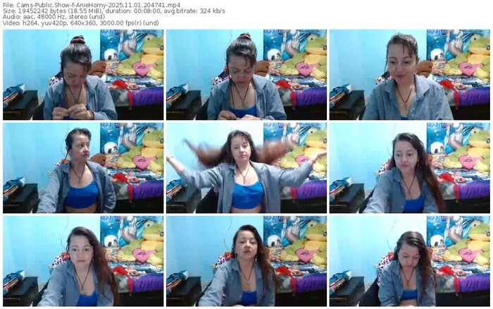 cams-aniehorny-11-01-2025-20-47-41