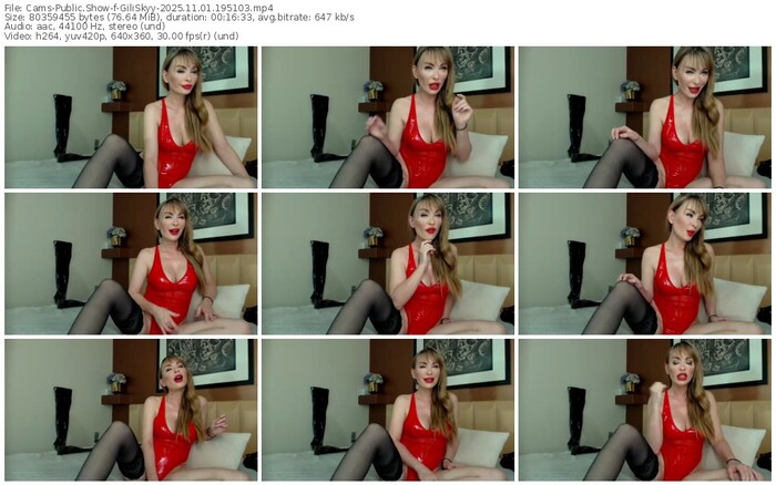 cams-giliskyy-11-01-2025-19-51-03