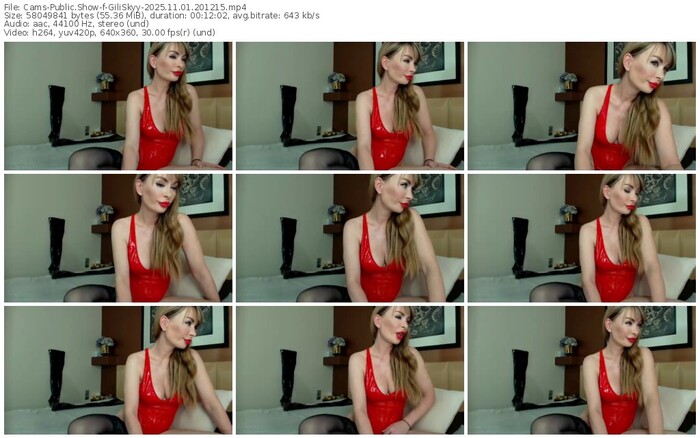 cams-giliskyy-11-01-2025-20-12-15