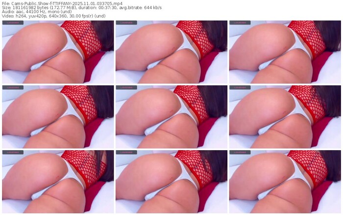 cams-ttiffany-11-01-2025-03-37-05