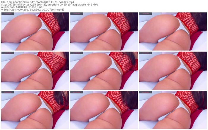 cams-ttiffany-11-01-2025-04-20-25