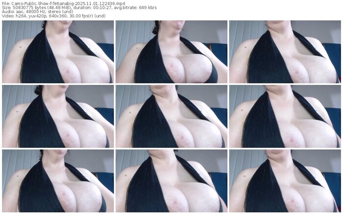 cams-tetianabig-11-01-2025-12-24-39