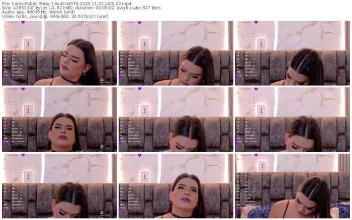 cams-avacristits-11-01-2025-16-01-22