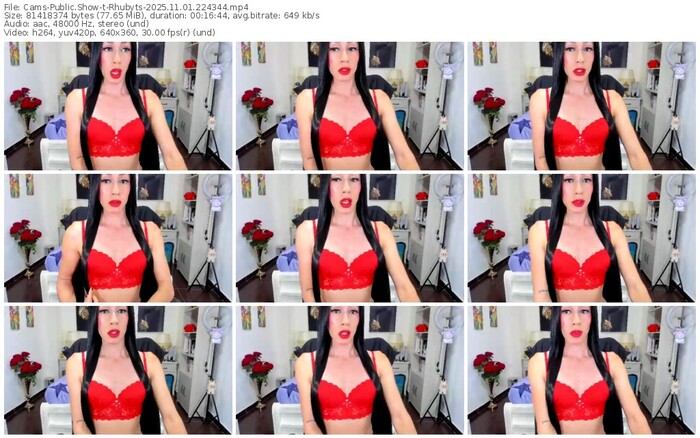 cams-rhubyts-11-01-2025-22-43-44