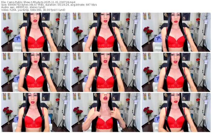 cams-rhubyts-11-01-2025-23-07-18