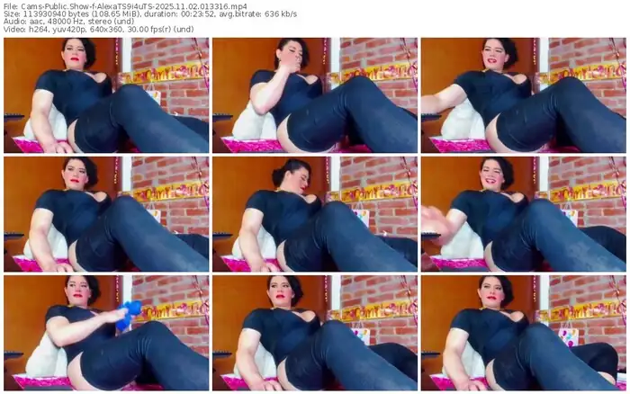 cams-alexats9i4uts-11-02-2025-01-33-16