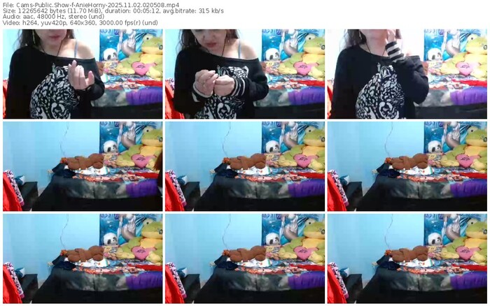 cams-aniehorny-11-02-2025-02-05-08
