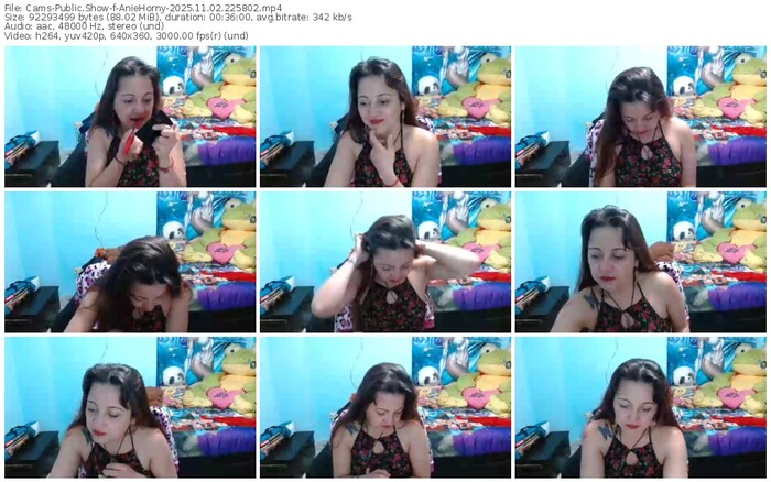 cams-aniehorny-11-02-2025-22-58-02