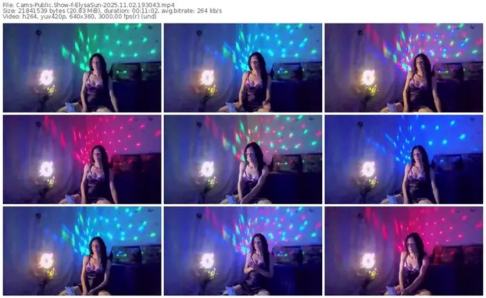 cams-elysasun-11-02-2025-19-30-43