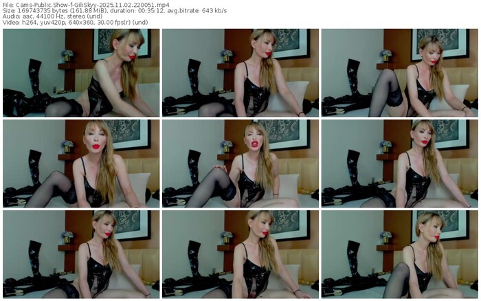 cams-giliskyy-11-02-2025-22-00-51