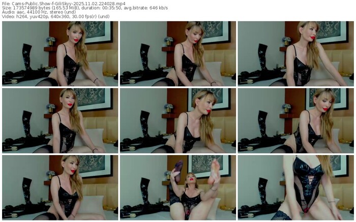 cams-giliskyy-11-02-2025-22-40-28