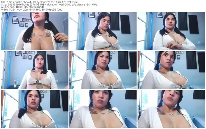 cams-halleycloud-11-02-2025-18-11-21