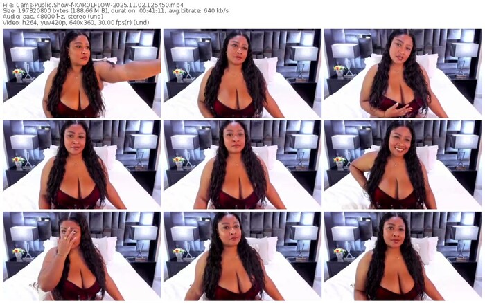 cams-karolflow-11-02-2025-12-54-50