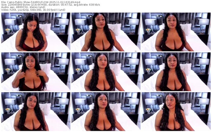 cams-karolflow-11-02-2025-16-31-49