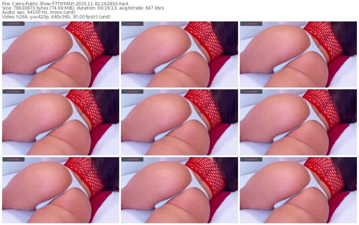 cams-ttiffany-11-02-2025-16-28-30