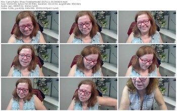 cams-adeleemodel-11-03-2025-04-08-23