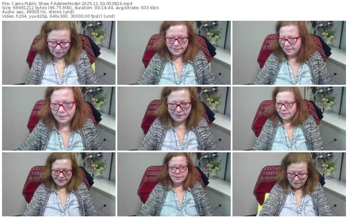 cams-adeleemodel-11-03-2025-05-38-24