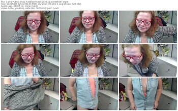 cams-adeleemodel-11-03-2025-06-59-47