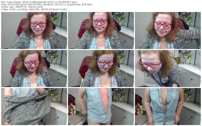 cams-adeleemodel-11-03-2025-06-59-47